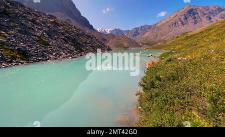 Türkisfarbenes Wasser des Flusses Karakabak inmitten von Steinen und Gras im Altai-Gebirge mit Gletschern und Schnee unter bewölkten Wolken. Stockfoto