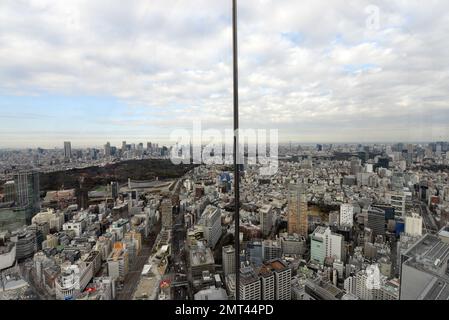 Blick auf den Yoyogi Park, Shinjuku und die Harajuku Gegend in Tokio, Japan. Stockfoto