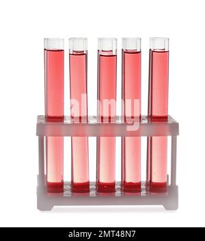 Reagenzgläser mit roter Flüssigkeit im Rack isoliert auf weiß Stockfoto