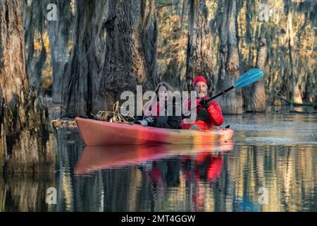 USA, tiefer Süden, Louisiana, Lafayette, Lake Martin, Stockfoto