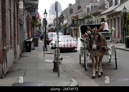 Die Stadt New Orleans, einschließlich des French Quarter, wurde vor Hurrikan Gustav evakuiert. Nach dem Sturm wurde die Stadt größtenteils für mehrere Tage verlassen, bis die Einwohner der Stadt hinein durften. Die Straßen waren tagelang leer, mit Ausnahme der Helfer und der Nationalgarde. New Orleans, L.A. 9/6/08. Stockfoto