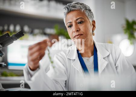 Pflanzenwissenschaftler, Denker oder Reagenzgläser in der Laborpharma, medizinischen Forschung oder gvo-Lebensmitteltechnik. Frau, Biologe oder Glasausrüstung Stockfoto