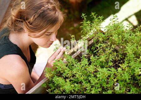 Einen Garten zu Pflanzen, heißt, an morgen zu glauben. Eine junge Frau, die Kräuter in ihrem Garten riecht. Stockfoto