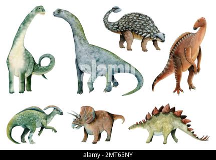 Aquarelle Pflanzenfresser Dinosaurier Illustrationssammlung, realistischer Ankylosaurus, Triceratops, Stegosaurus, farbenfroher Parasaurolophus Stockfoto