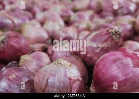 Selektives Fokusbild von Zwiebeln im Supermarkt Stockfoto