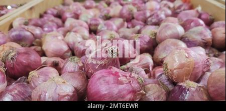 Selektives Fokusbild von Zwiebeln im Supermarkt Stockfoto