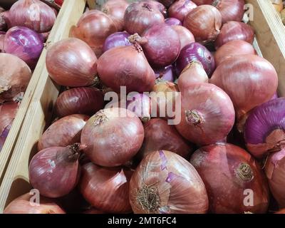 Selektives Fokusbild von Zwiebeln im Supermarkt Stockfoto