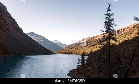 Alpensee Shavlinskoe im Schatten zwischen Felsen und Bäumen Wald in Altai bei Sonnenuntergang mit Bergen in der Sonne im Herbst. Stockfoto