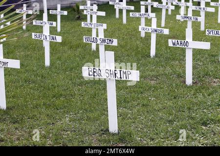 Auf dem Hof eines Hauseigentümers befinden sich nachgeahmte Grabsteinmarkierungen für viele Dinge, die durch die BP-Ölpest verloren gegangen sind, darunter Tiere, Arbeit und Lebensweisen auf Grand Isle, LA. 6/6/10. . Stockfoto