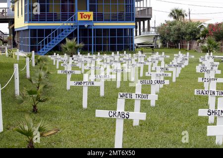 Auf dem Hof eines Hauseigentümers befinden sich nachgeahmte Grabsteinmarkierungen für viele Dinge, die durch die BP-Ölpest verloren gegangen sind, darunter Tiere, Arbeit und Lebensweisen auf Grand Isle, LA. 6/6/10. . Stockfoto