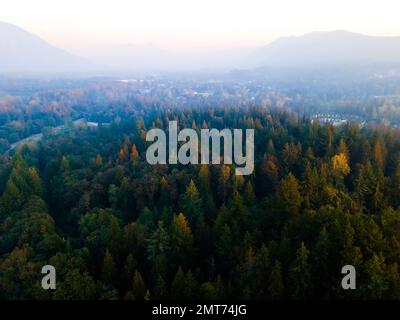 Ein Drohnenschuss von Mount Rainier Stratovolcano in Washington State Stockfoto