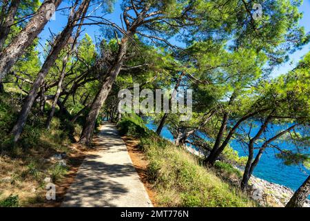 Cikat Forest Park Beach Walkway mit Bäumen und blauem Meer. Stockfoto