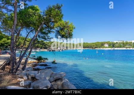 Cikat Forest Park Strand mit Bäumen und blauem Meer. Stockfoto