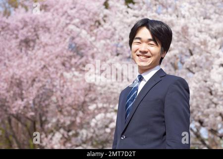 Japanischer Geschäftsmann mit Kirschblüten in voller Blüte Stockfoto