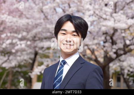 Japanischer Geschäftsmann mit Kirschblüten in voller Blüte Stockfoto