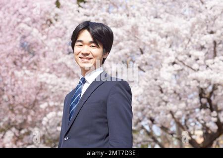 Japanischer Geschäftsmann mit Kirschblüten in voller Blüte Stockfoto