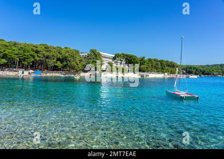 Cikat Forest Park Strand mit Bäumen und blauem Meer. Stockfoto