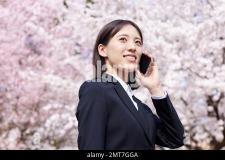 Japanische Geschäftsfrau mit Kirschblüten in voller Blüte Stockfoto