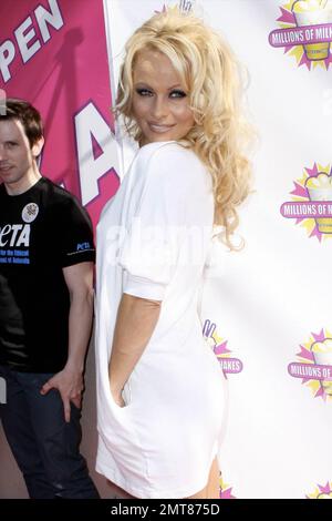 Pamela Anderson trägt ein einfaches weißes T-Shirt-Kleid und einen Pelzschutz-Knopf und kreiert gemeinsam mit PETA-Vertretern den ersten veganen Milchshake, der von Millionen Milkshakes in West Hollywood, Kalifornien, angeboten wird. 4/9/10. . Stockfoto