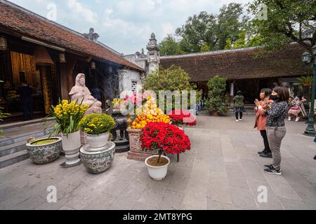 Hanoi, Vietnam, Januar 2023. Blick auf den taoistischen Tempel Chua Dien Huu im Stadtzentrum Stockfoto