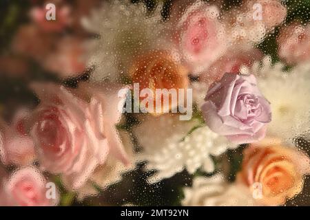 Kaltes nebiges Glas mit wunderschönen rosa Rosen und weißen Chrysanthemen innen mit tropfenden Wassertropfen, für florale botanische Tapete Stockfoto