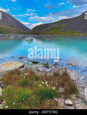 Klares Wasser mit Pflanzen und Steinen türkisfarbener See Karakabak vor dem Hintergrund von Gipfeln und Steinklippen während des Tages in Altai im Sommer. Stockfoto