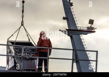 Entladen von Fischen aus ANTARKTISCHEN Supertrawlern in Killybegs, County Donegal, Irland. Stockfoto