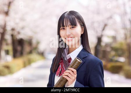 Japanisches Highschool-Porträt mit Kirschblüten in voller Blüte Stockfoto