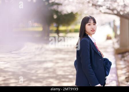 Japanisches Highschool-Porträt mit Kirschblüten in voller Blüte Stockfoto