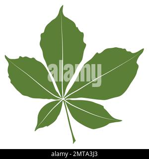 Silhouettensymbol für Vektorkastanienblätter. Einfache Abbildung mit Kastanienblättern für das Logo. Realistische handgezeichnete Blattdarstellung auf weißem Hintergrund. Stock Vektor