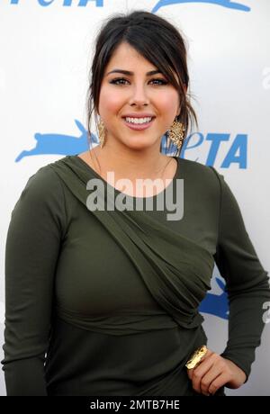 Daniella Monet betritt den roten Teppich bei den PETA's 30. Anniversary Gala & Humanitarian Awards im Hollywood Palladium. Gastgeber der Veranstaltung war der Schauspieler Alec Baldwin mit Highlights aus der mit Stars bestückten Veranstaltung, zu der eine Hommage an PETA-Ermittler gehörte, die von den Stars Casey Affleck und Joaquin Phoenix, eine Darbietung von Bryan Adams und eine stille Auktion geliefert wurden. Los Angeles, Kalifornien. 09/25/10. Stockfoto