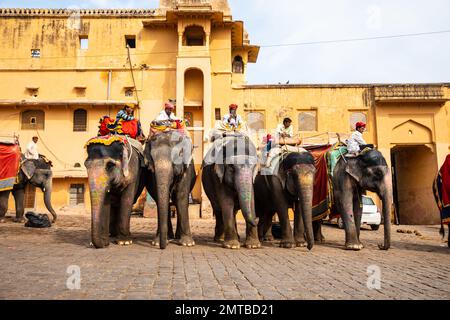 Elefanten und ihre Handler in Nahargarh Fort Jaipur, Rajasthan, Indien Stockfoto