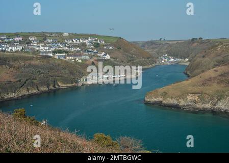 Solva, Pembrokeshire. Küstenpfad zum Hafen von Solva im Frühling Stockfoto