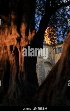 Kirche Notre Dame du Brusc, Chateauneuf de Grasse, Alpes Maritimes, 06, Cote d'Azur, Frankreich Stockfoto