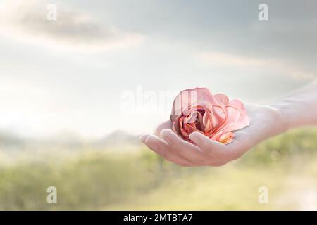 Sanfte Geste einer Hand, die ein rosa, abstraktes Konzept gibt Stockfoto