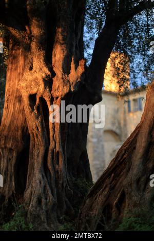 Kirche Notre Dame du Brusc, Chateauneuf de Grasse, Alpes Maritimes, 06, Cote d'Azur, Frankreich Stockfoto