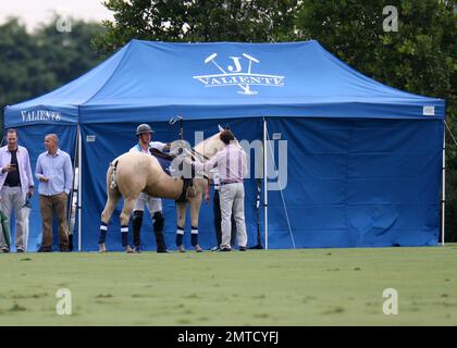 Prinz Harry nimmt am Sentebale Polo Cup Teil, der von Royal Salute World Polo präsentiert wird und auf der Valiente Polo Farm in Wellington, Florida, stattfindet. Prinz Harry wurde bei starkem Regen beim Wohltätigkeits-Polospiel gesehen. Jedes der drei Runden-Robin-Spiele wurde auf 2 Chucker von 5 Minuten verkürzt. 4. Mai 2016. Stockfoto