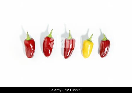 Rote und gelbe Mini-Chili-Paprika isoliert auf Weiß mit Schatten, Draufsicht. Heiße Gewürze. Medikamente. Stockfoto