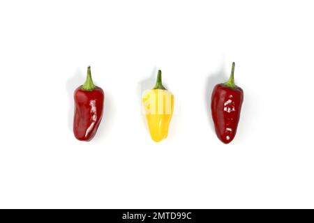 Rote und gelbe Mini-Chili-Paprika isoliert auf Weiß mit Schatten, Draufsicht. Heiße Gewürze. Medikamente. Stockfoto