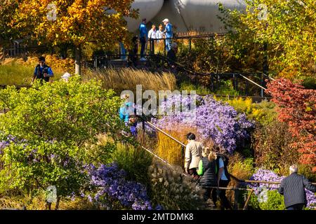 Little Island Park am Pier 55 am Hudson River in Manhattan New York City Stockfoto