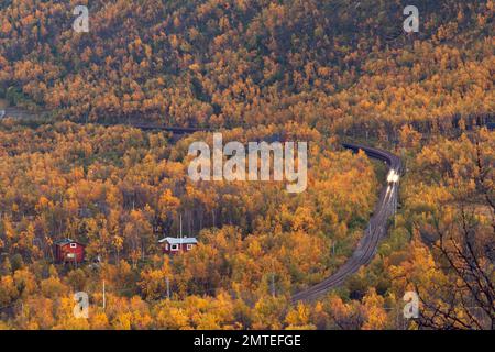 Nordic Mountain, Hang im späten Abendlicht, September. Eisenerzzug fährt am goldenen Holz vorbei. Ein paar Hütten auf dieser Seite. Stockfoto