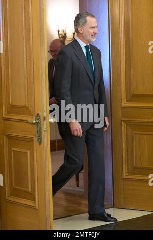 Madrid. Spanien. 20230201, König Felipe VI. Von Spanien nimmt am 1. Februar 2023 in Madrid, Spanien, an einer Audienz mit einem Vertreter der spanischen Stiftung des Roten Kreuzes im Schloss Zarzuela Teil Stockfoto