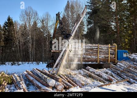 Arbeiten des Greiferladerkrans am Holzlaster beim Verladen von Kiefernholzstämmen am Wintertag. Stockfoto