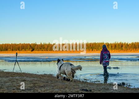 Eine Fotografin steht in Stiefeln im Wasser eines Quellflusses mit Eis auf einem Eisfluß neben einem weißen Hund, der am Ufer entlang läuft, und einem Telefon Stockfoto