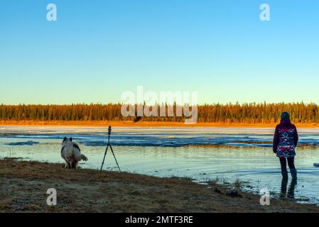 Eine Fotografin steht in Stiefeln im Wasser eines Quellflusses mit Eis auf einem Eisfluß neben einem weißen Hund am Ufer und einem Telefon Stockfoto