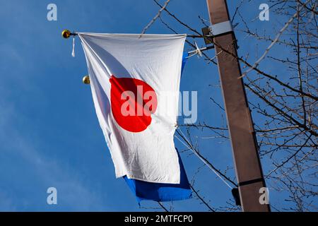 Tokio, Japan. 1. Februar 2023. Eine japanische Hinomaru-Flagge, die japanische Nationalflagge, die vor dem National Diet Building fliegt. Japanische Wirtschaft, japanische Geschäfte, japanische Regierung, Tokio.Nagatacho ist ein Bezirk im Chiyoda-Bezirk von Tokio, Japan, und beherbergt das politische Zentrum des Landes, darunter die offizielle Residenz des Premierministers, das National Diet Building und den Sitz mehrerer Regierungsbehörden. Auf Japanisch wird es als é•·c°c‘° (Nagatacho) bezeichnet. Es gilt als einer der einflussreichsten Gebiete in Japan und wird oft als „Zentrum der japanischen Politik“ bezeichnet. Kredit: ZUM Stockfoto