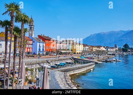 Das steinerne Ufer des Lago Maggiore mit Blick auf hohe Palmen, Cafés im Freien, bunte Häuser und Glockenturm der Kirche St. Peter und St. Paul, Ascona, Tici Stockfoto