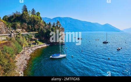Die verlegten Segelyachten fahren vor dem grünen Wald am Ufer des Lago Maggiore und den verschwommenen Alpen im Hintergrund, Ascona, Schweiz Stockfoto