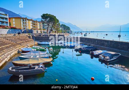 Der kleine Yachthafen mit verankerten Booten auf dem Lago Maggiore mit üppigen grünen Kiefern und nebligen Alpen im Hintergrund, Locarno, Tessin, Schweiz Stockfoto