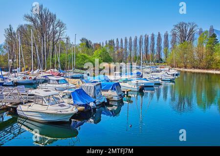 Die festgemachten Fischerboote und kleinen Segelyachten im Yachthafen Lanca degli Stornazzi am Lago Maggiore, Locarno, Schweiz Stockfoto